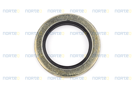 4881250 PLANE GASKET
