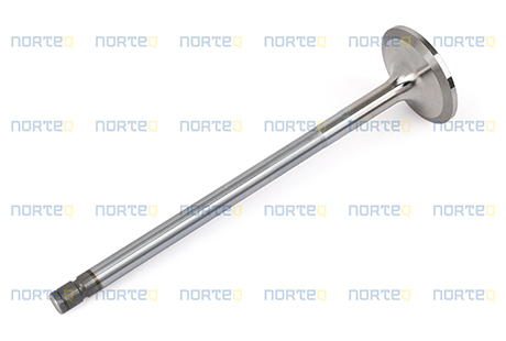 20739057 INLET VALVE