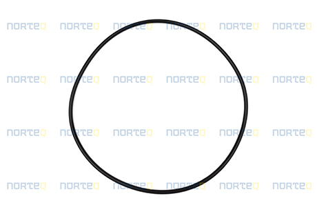 975687 O-RING
