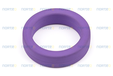 21092243 SEALING RING