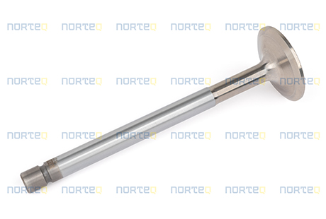 466379 INLET VALVE