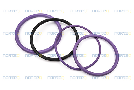 276948 ENJEKTÖR ORING KITI