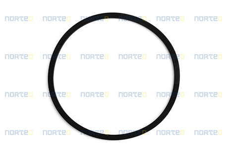 11145529 SEALING RING