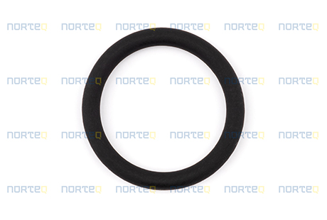 20798827 O-RING