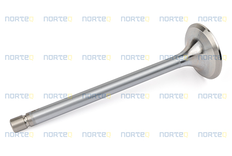468303 EXHAUST VALVE