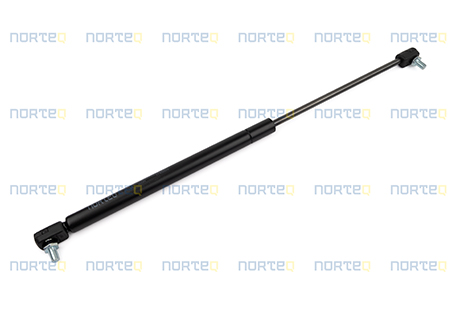 16845846 Gas spring