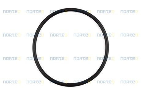 11991006 O-RING