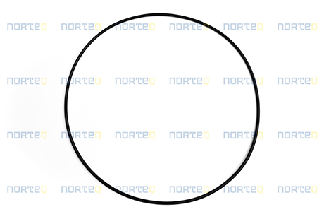 990249 O-RING