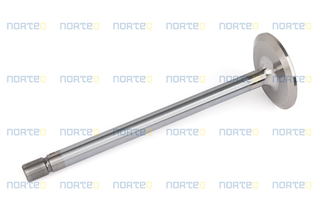 479204 INLET VALVE
