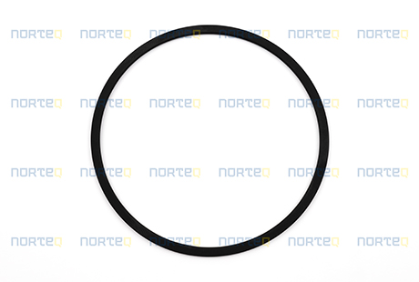 11989802 SEALING RING