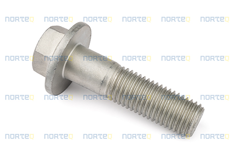 968297 FLANGE SCREW