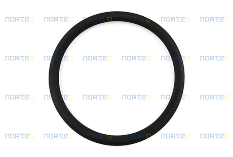 976054 O-RING