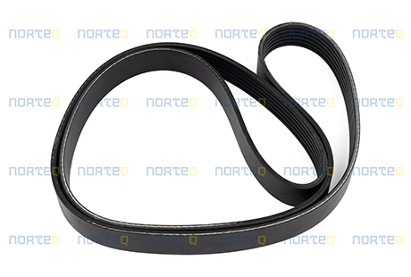 20441019 V-RIBBED BELT