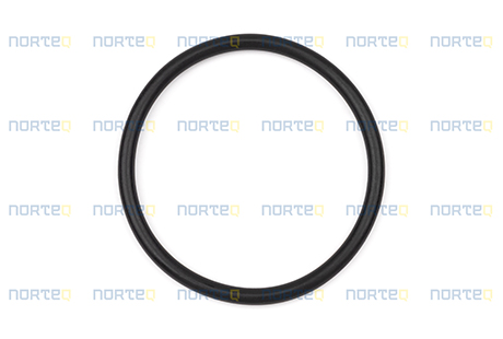 955994 O-RING