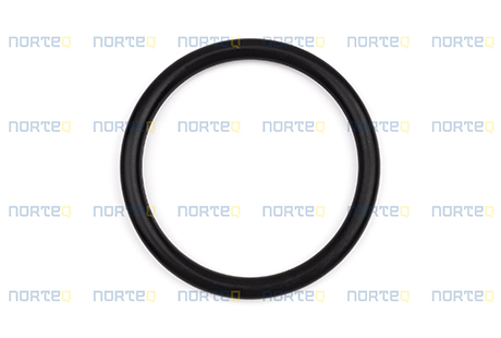 925063 O-RING