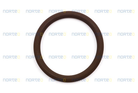 11708231 ORING