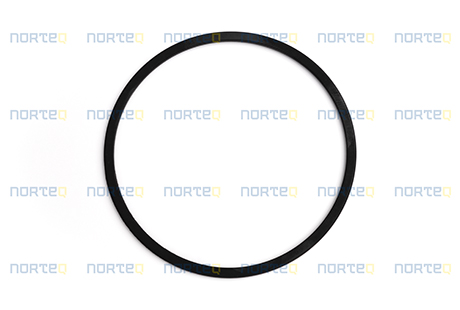 11145530 SEALING RING