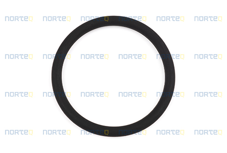 20536487 O-RING