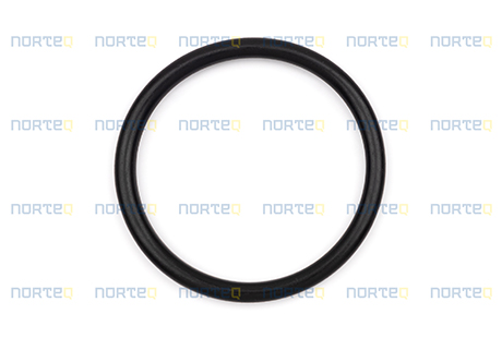 925064 O-RING