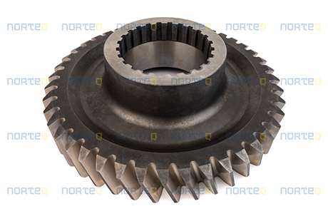 11036496 GEAR