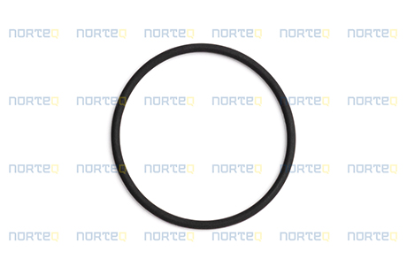 960221 O-RING