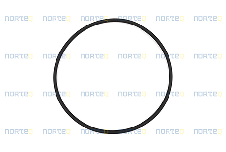 13948980 O-RING
