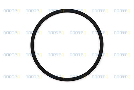 11989798 SEALING RING