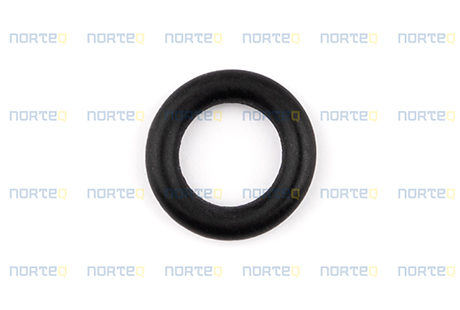 925053 O-RING