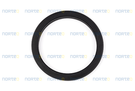 1547254 SEALING RING