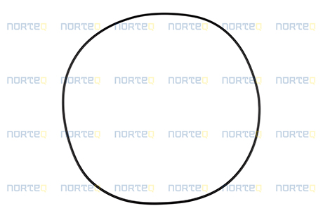 12743123 O-RING